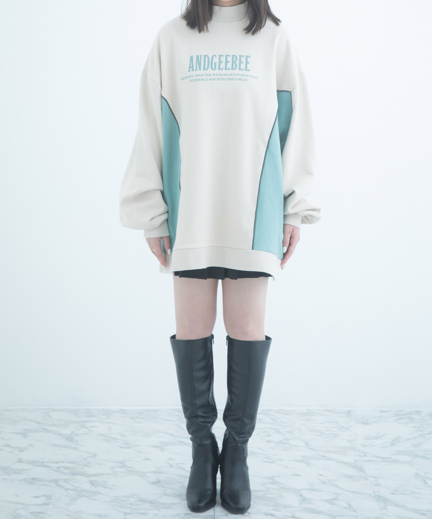 UNISEX ハイネックハイショクスウェット