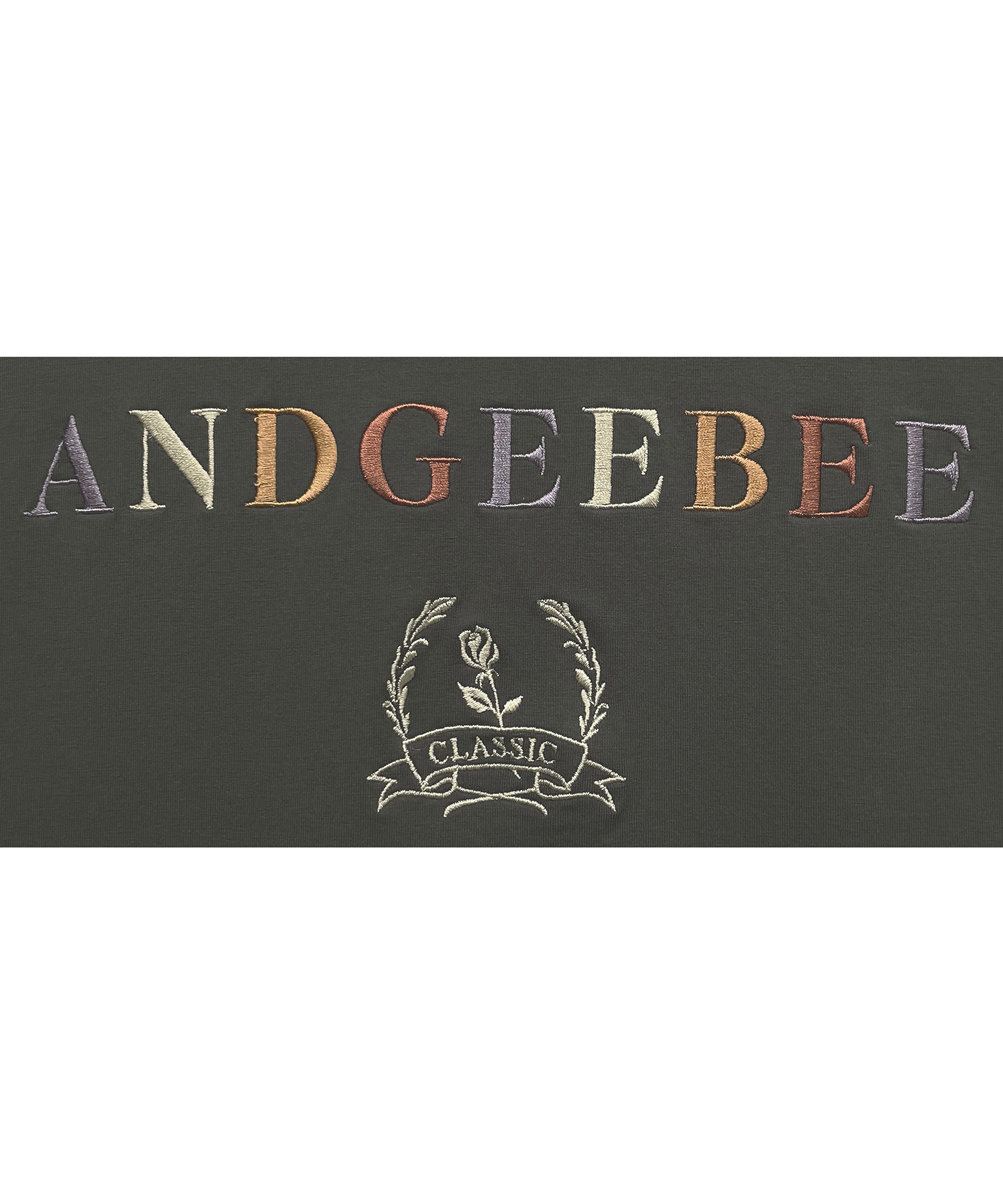 AG223CS0805_13