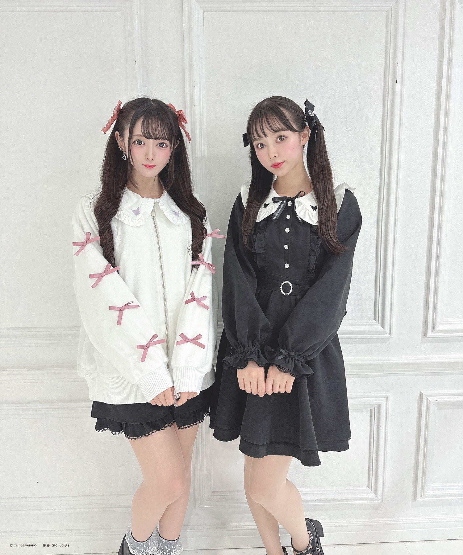 HC_kr_twins_1