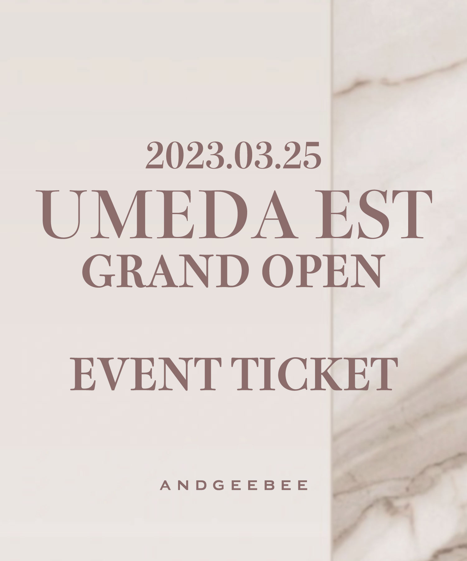 ANDGEEBEE 梅田エストイベント入場チケット