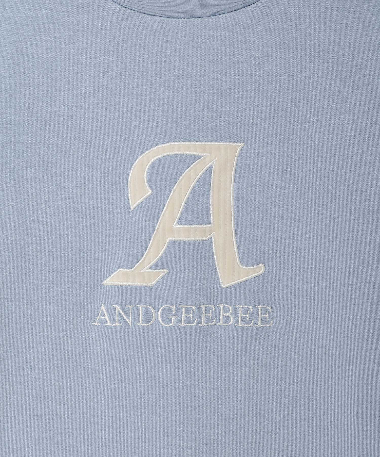 AG233CS0722_8_1