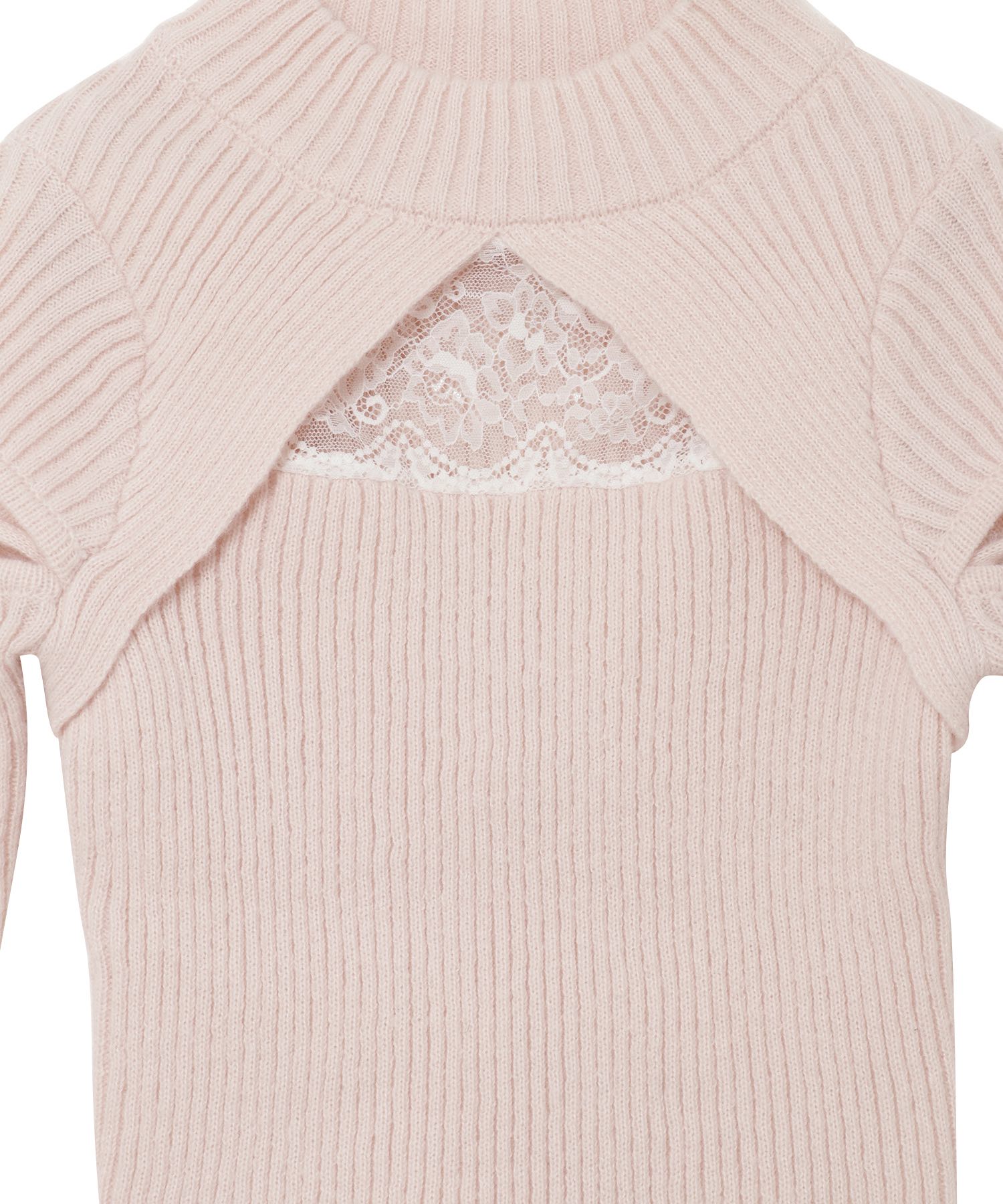 世界有名な lace out RoseMuse cut point tops knit ニット/セーター