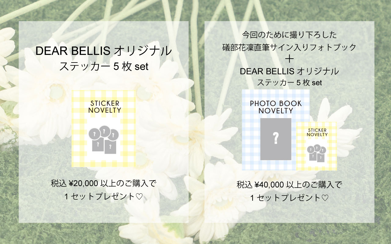 DEAR BELLIS NEWS – BUNNY APARTMENT