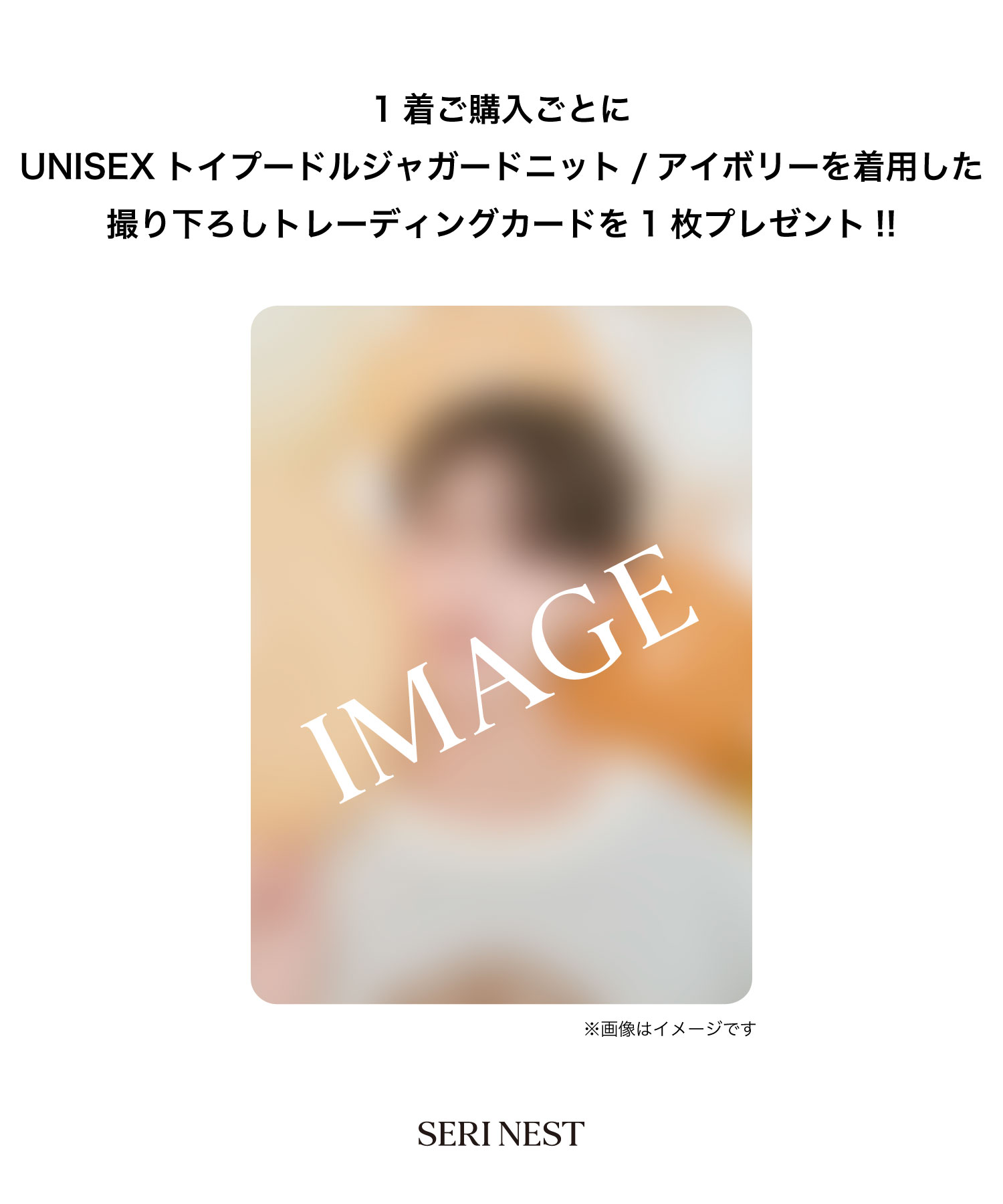 UNISEX トイプードルジャガードニット / アイボリー