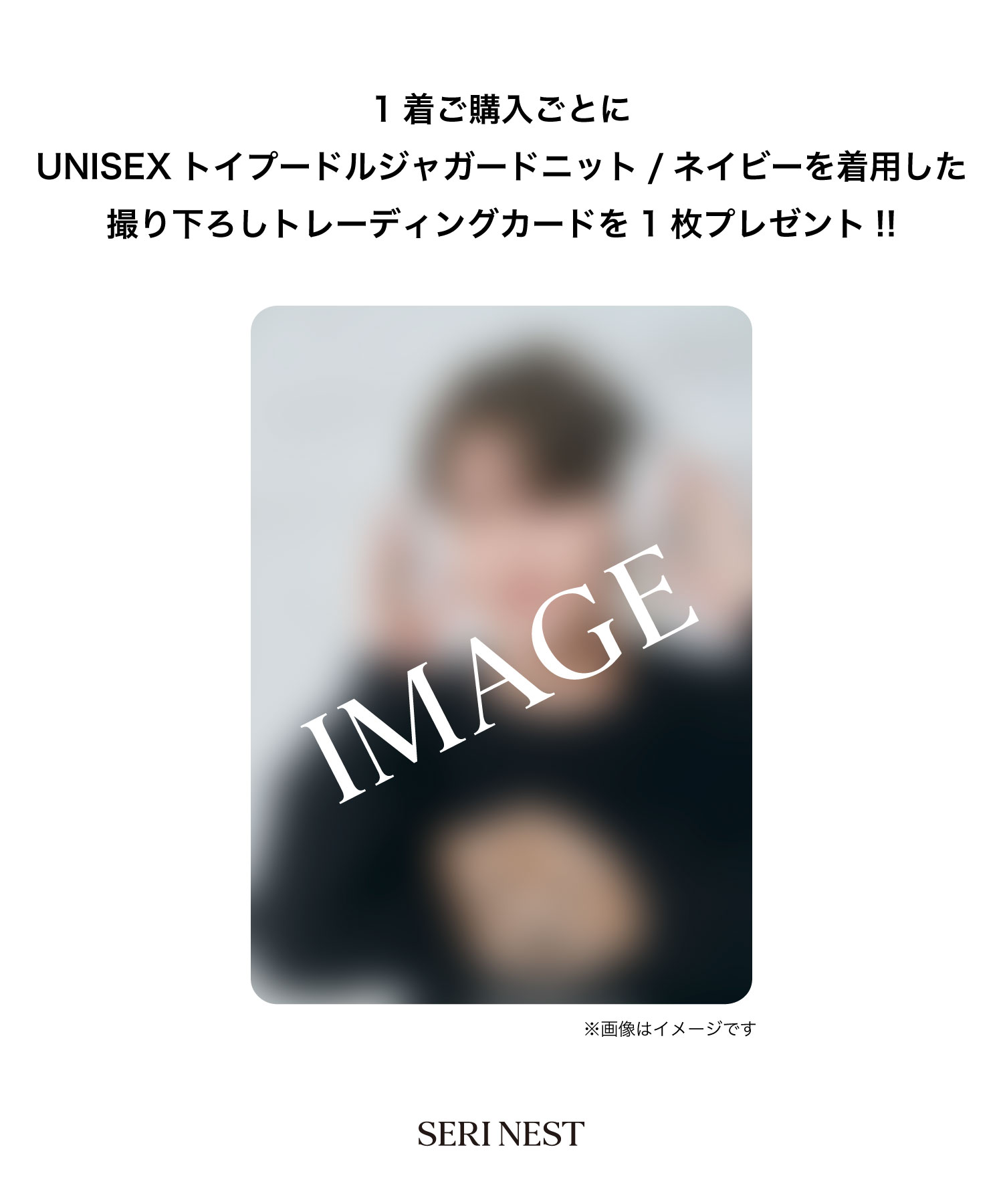 UNISEX トイプードルジャガードニット / ネイビー